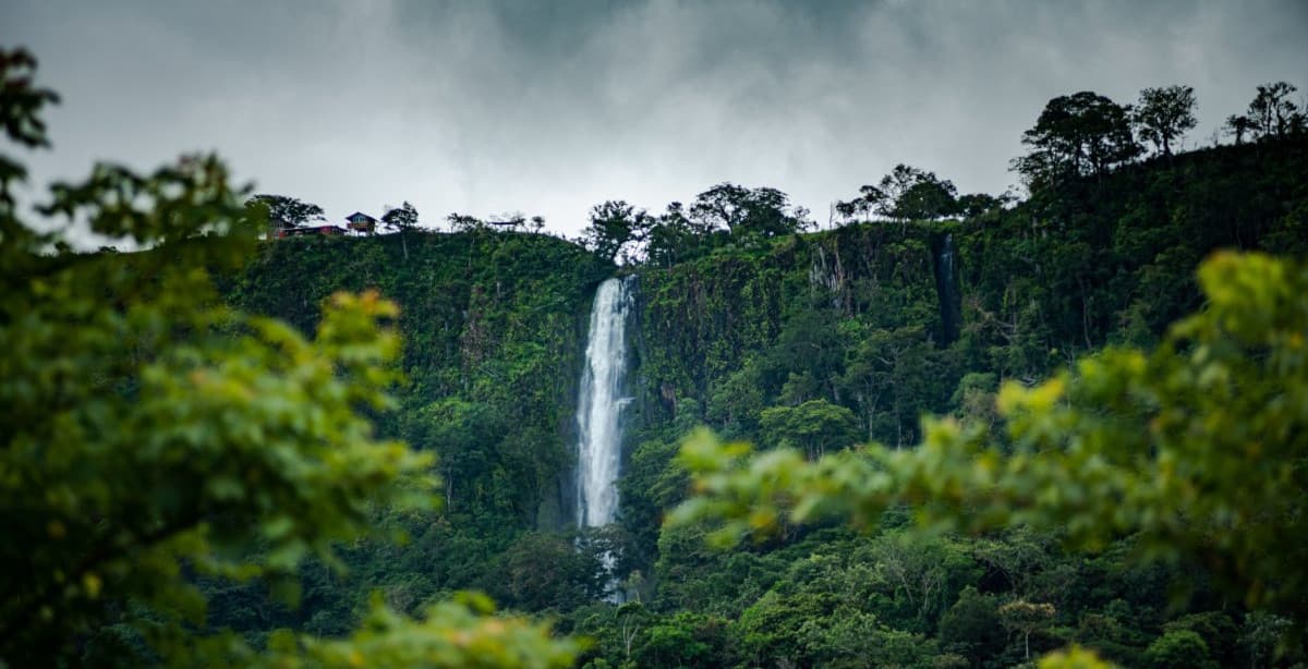 Panama's culture, cuisine & natural wonders