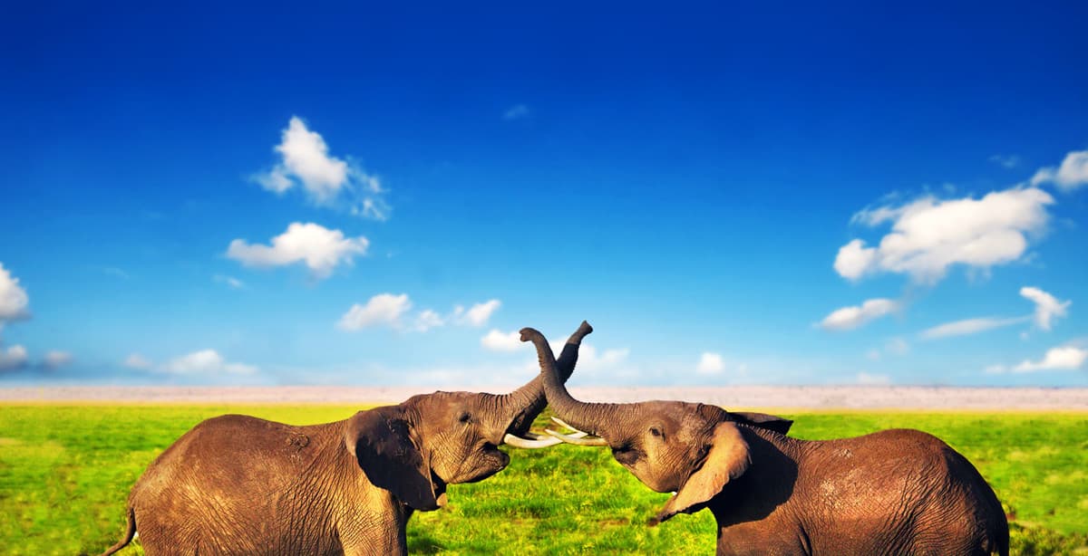 7-day best of northern Tanzania tour