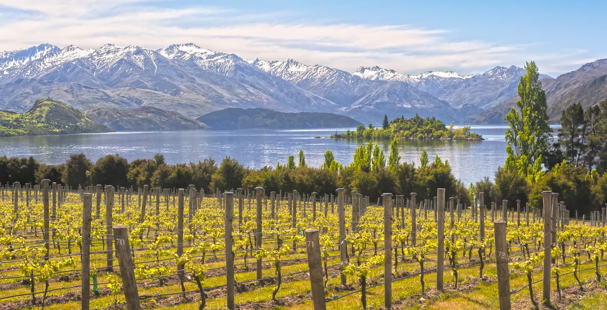 Flavors of New Zealand 21-day food & wine tour