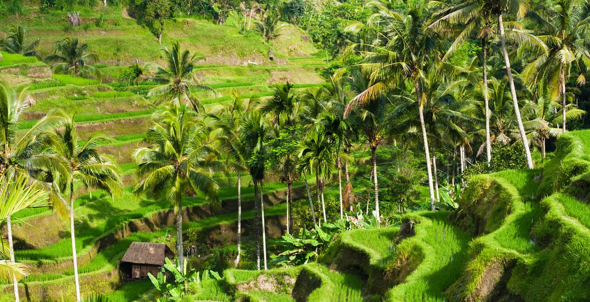 Bali bliss: 11-day family trip in paradise