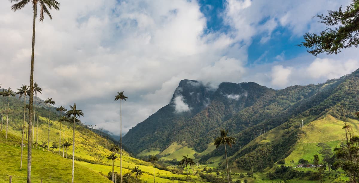 Exploring Colombia: iconic cities & the coffee region