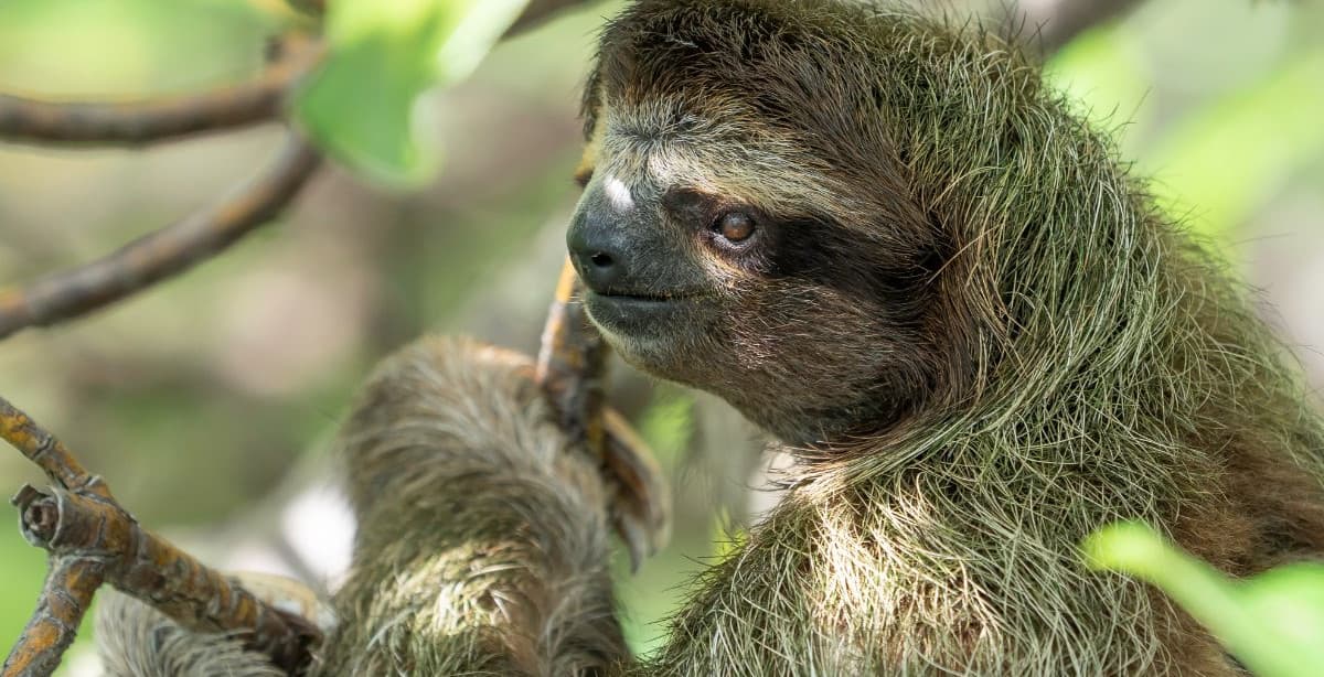 A family adventure through Panama’s natural wonders