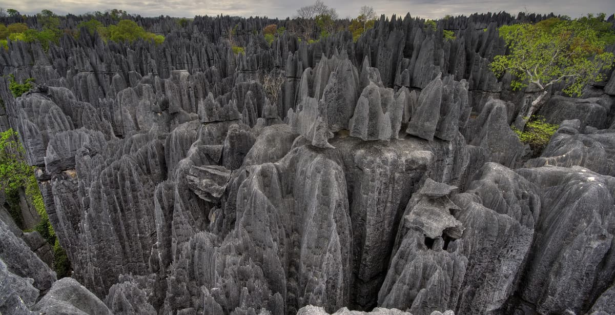 10-day western Madagascar journey