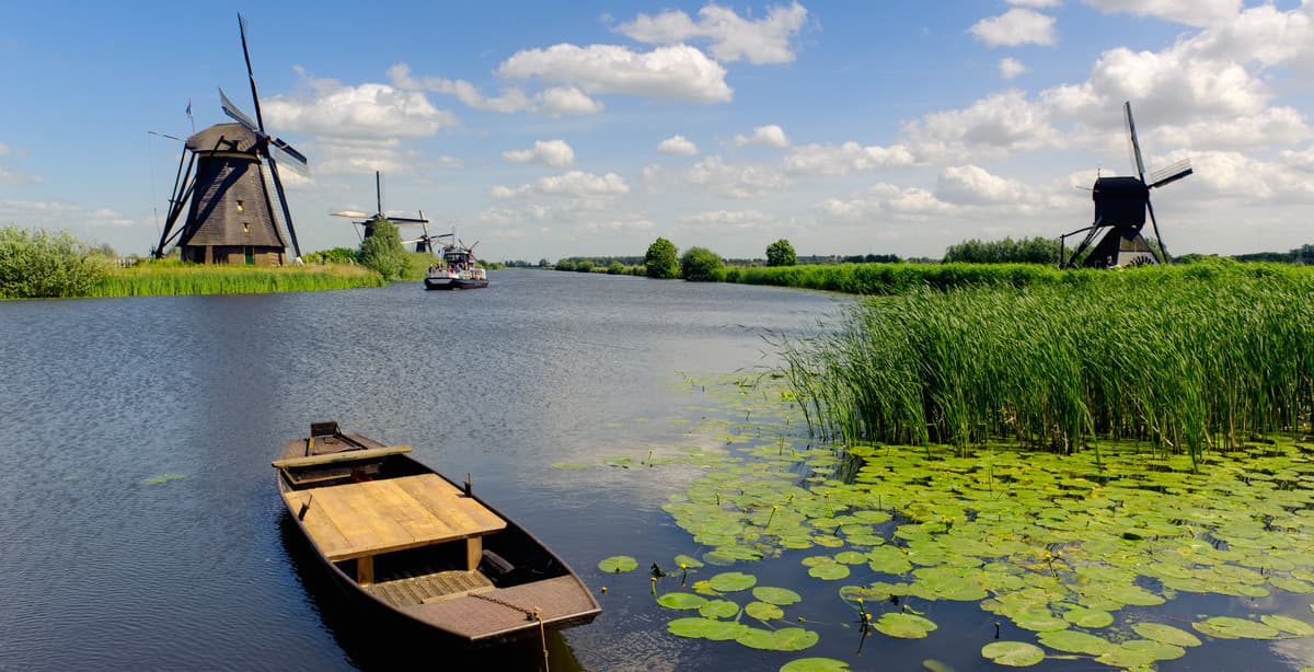 Freewheeling Holland by bike