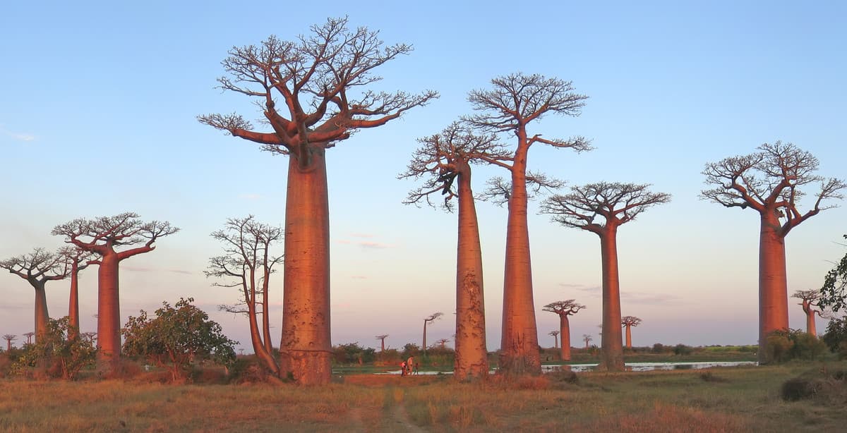Die große Schleife von Madagaskar