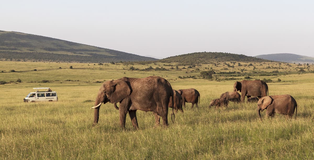 Masai Mara & Samburu discovery in Kenya