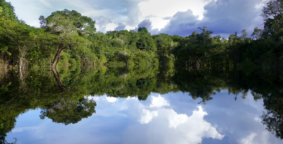 Cruise on a typical boat on the Amazon River