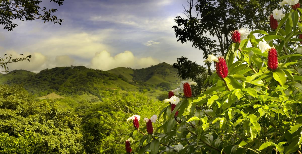 Costa Rica: Komfort & Erholung in den Tropen