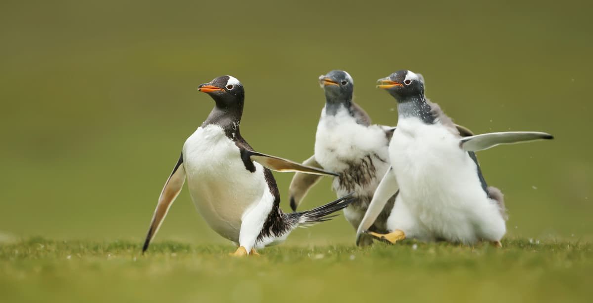 10-Day Family Tour Through Patagonia