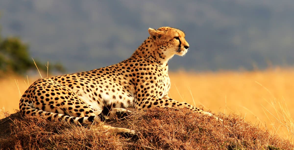 14-day best of Tanzania & Zanzibar trip