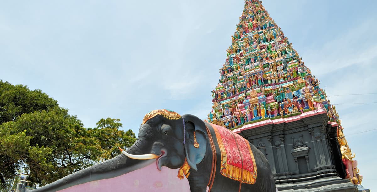 Sri Lanka entdecken: Vom Norden in den Süden