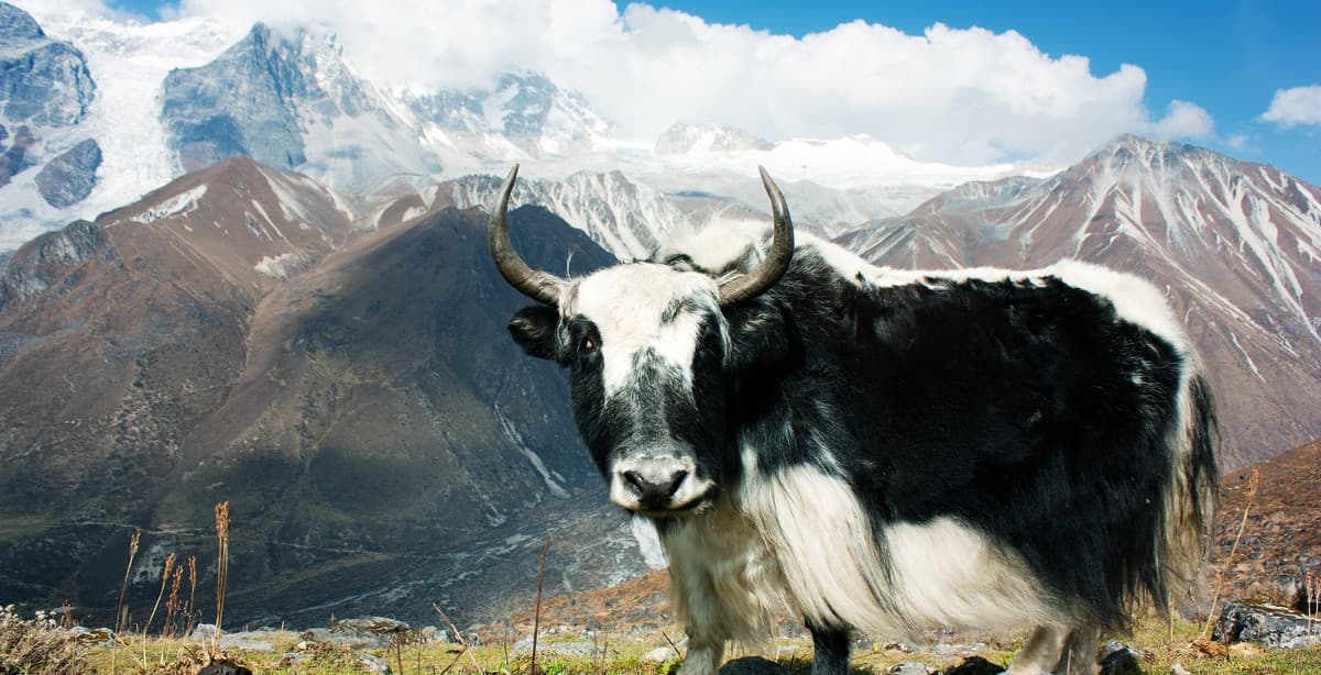 16-day Nepal homestay trek tour