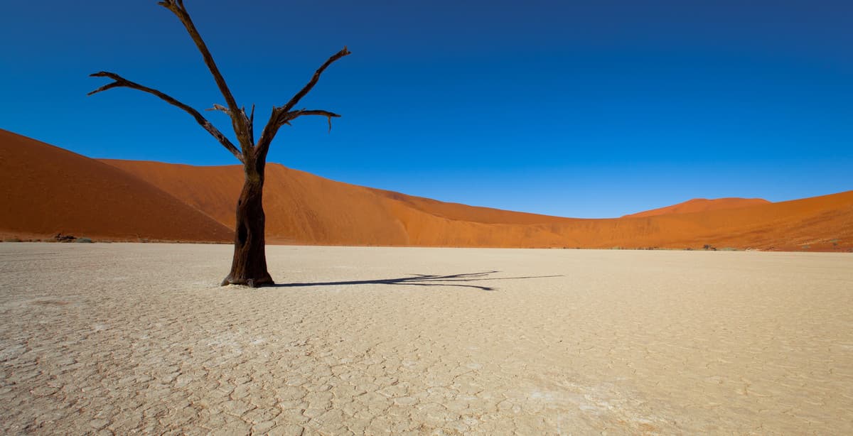 Namibia Wüste & Küsten Tour