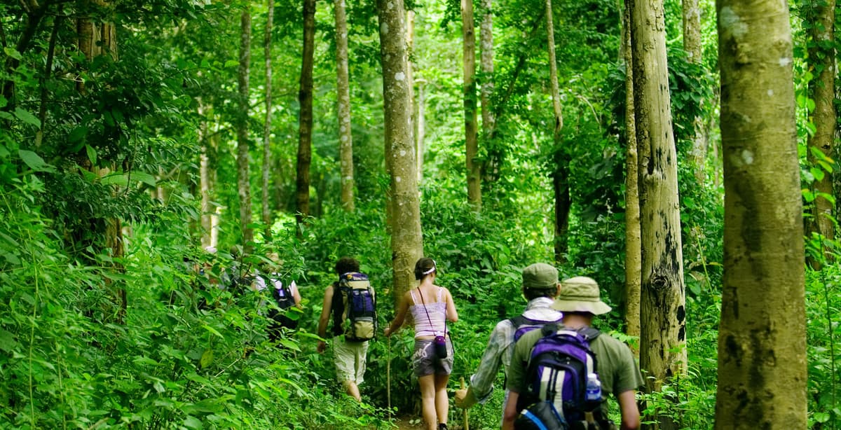 12-day Thailand jungle adventure