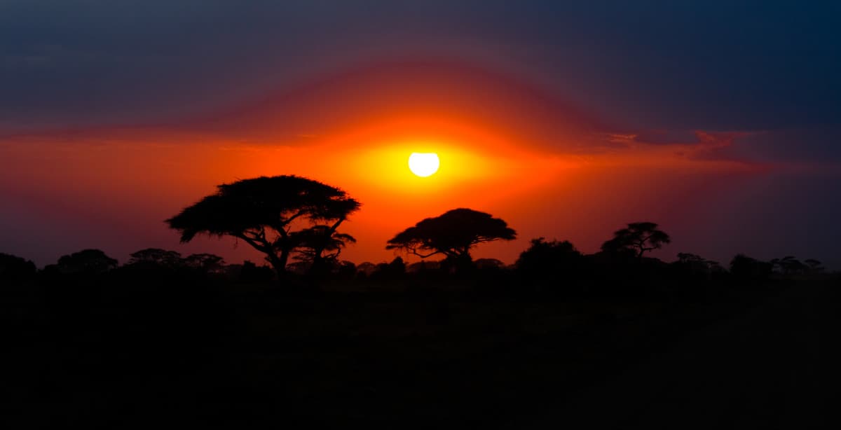 Unforgettable safari journey in the Mount Kenya region