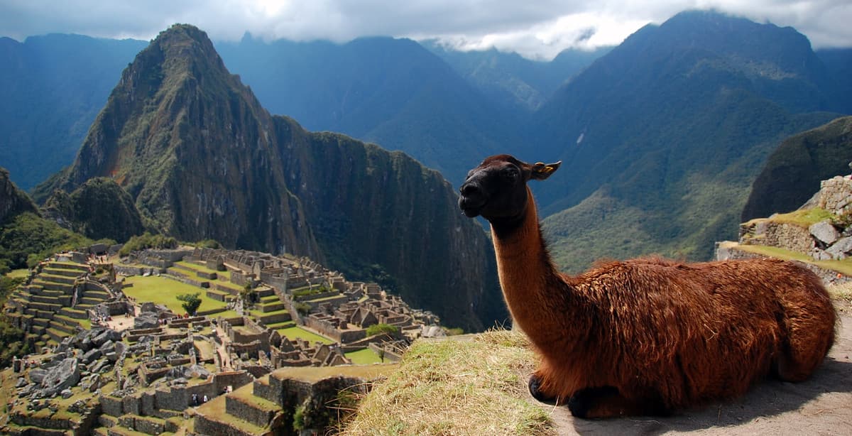 Peru explorer: Amazonian wonders & Inca mysteries