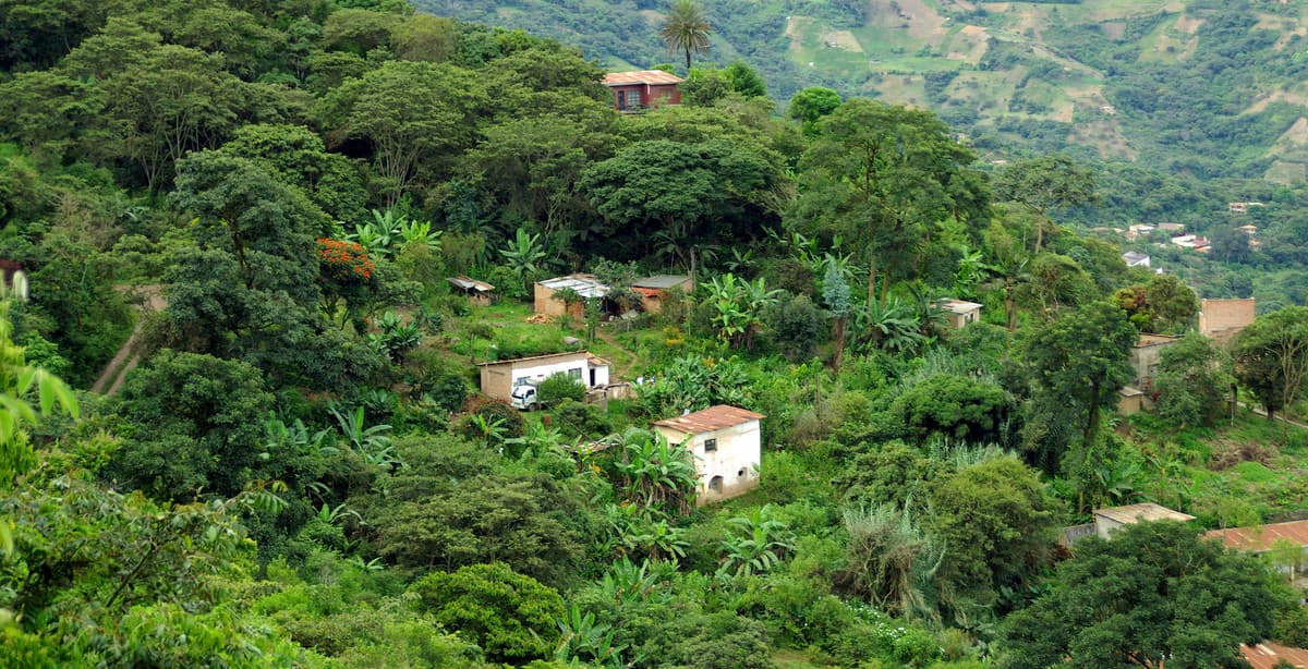 Diverse Bolivia: Andean cities, cloud forests & salt flats