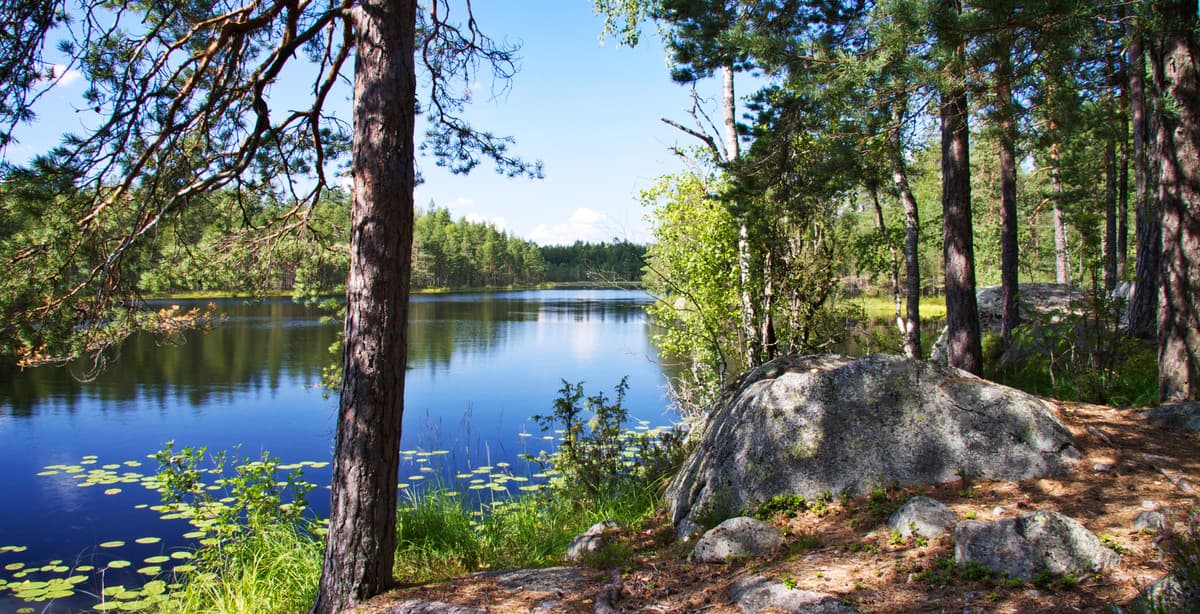 Discover Finland's Arctic wilderness