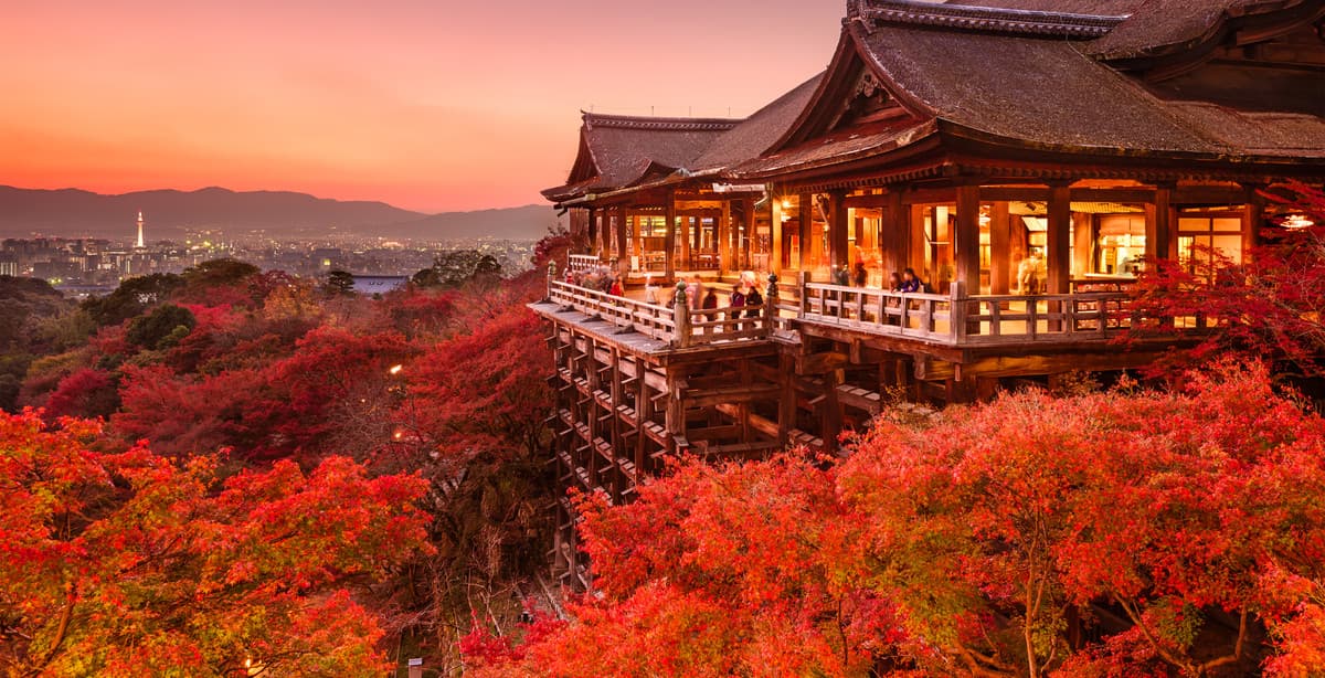 Entdecken Sie die Schönheit Japans im Herbst