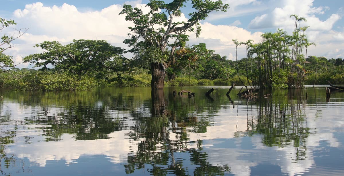 Peru to the Galapagos: an unforgettable South America journey