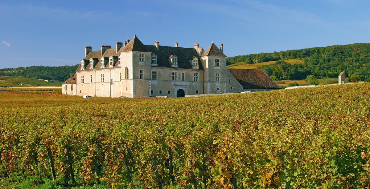 10 Day Wine Tasting Trip Through France