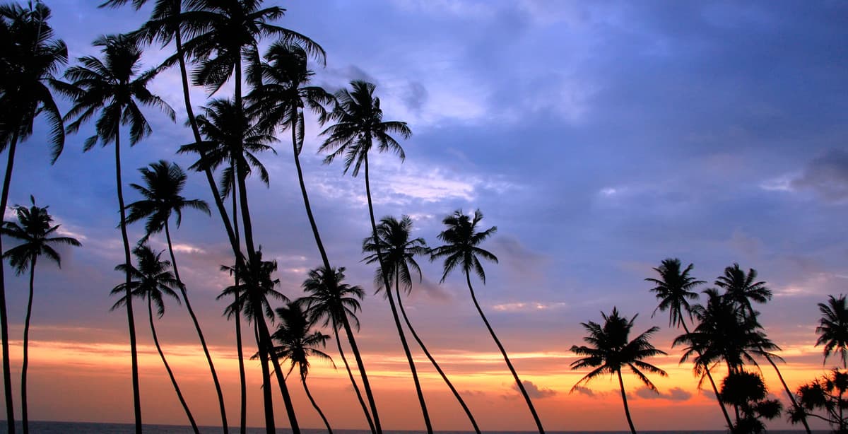 Sri Lanka: Traumhaftes Sri Lanka