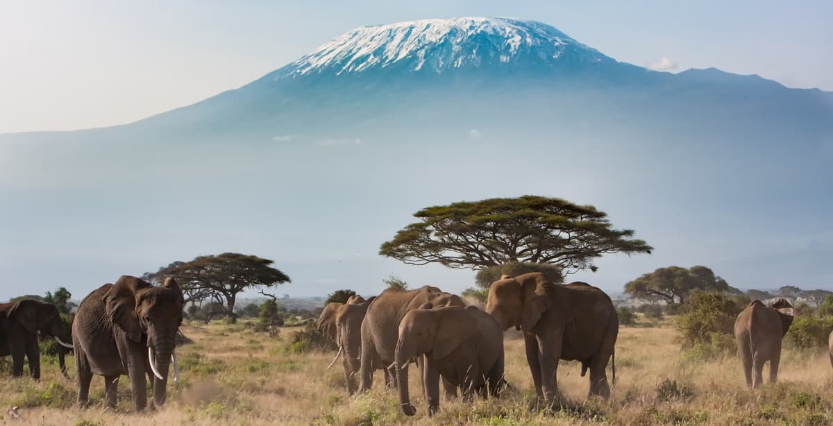 Entdeckertour Tansania – Wildlife & More