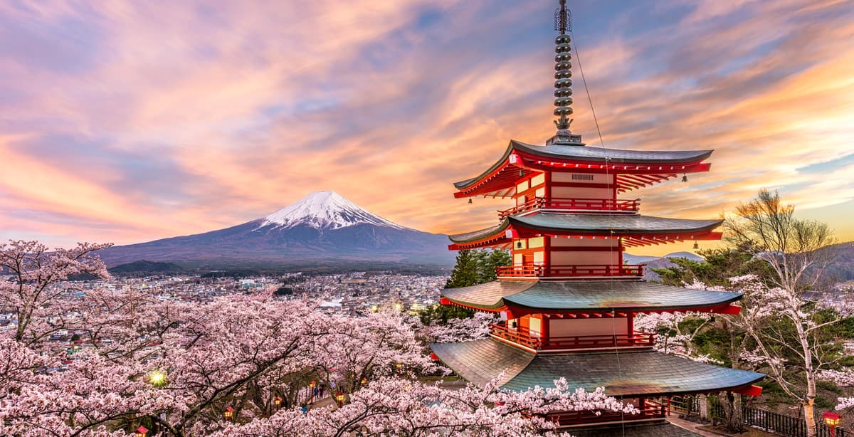 Splendor of Japan under the sakura
