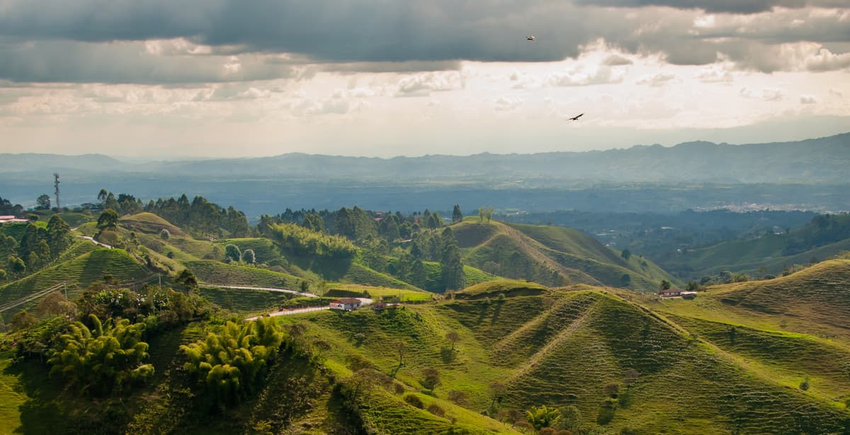 12 Day Heart Of Colombia Coffee and Culture