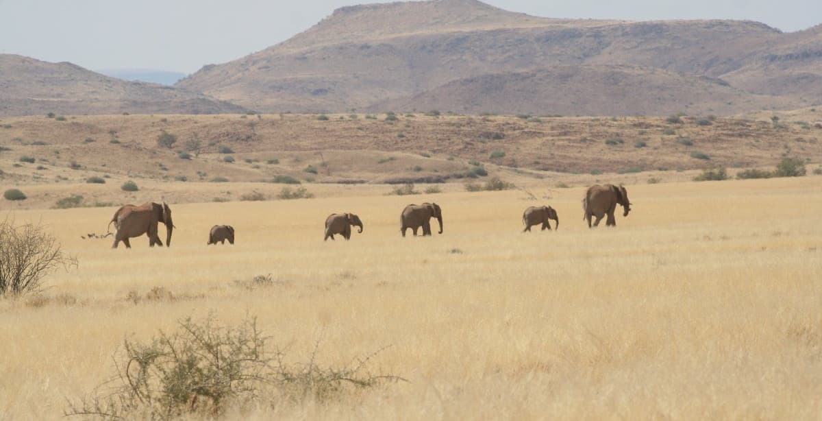 Namibia: Im Mietwagen zur Safari