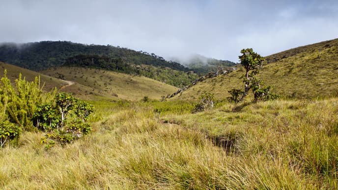 Horton Plains National Park
