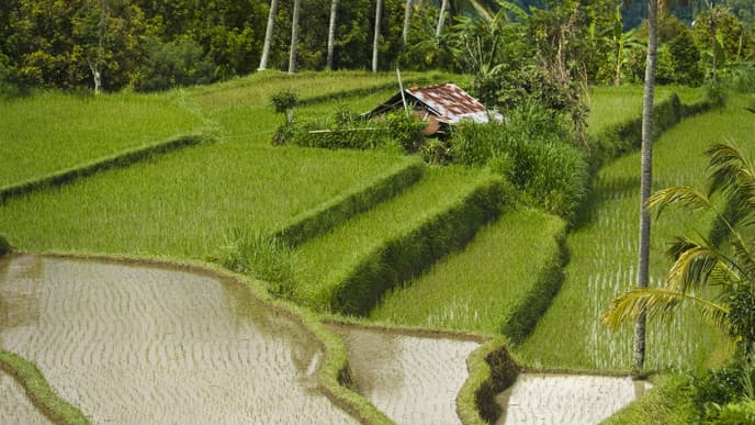 The Beautiful Road to the North