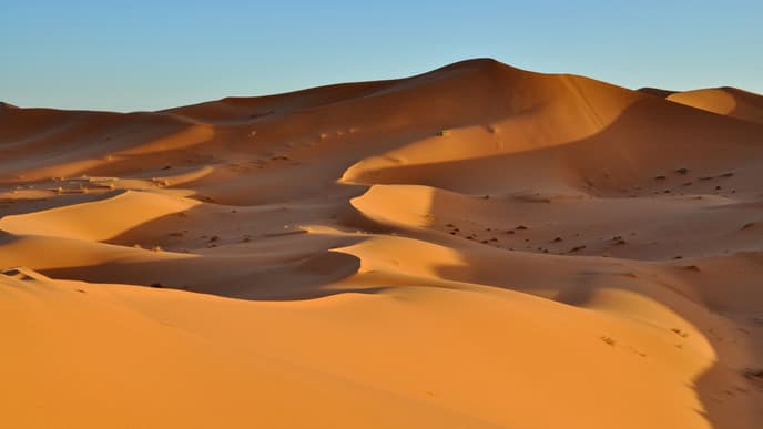 A magical experience in Merzouga!