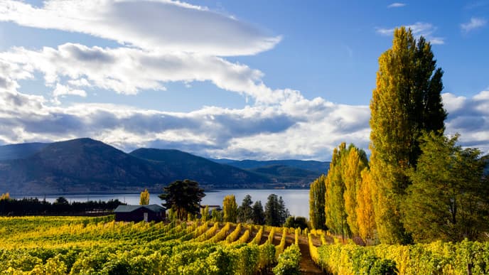 Visit the Parks and Villages of the Okanagan Valley