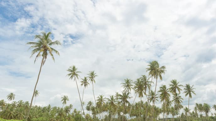 Gemeinsamer Spaziergang