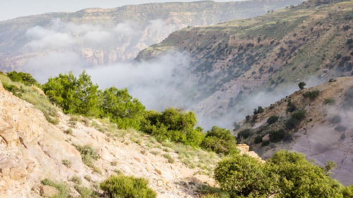 Travel through the Magical Dana Nature Reserve