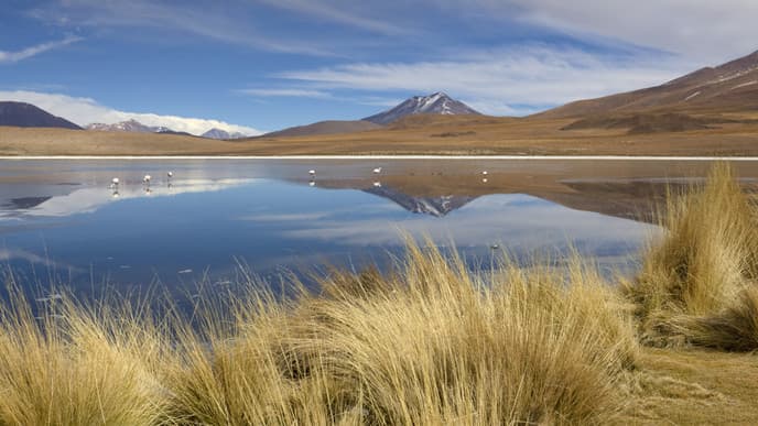 The many deserts of Incahuasi