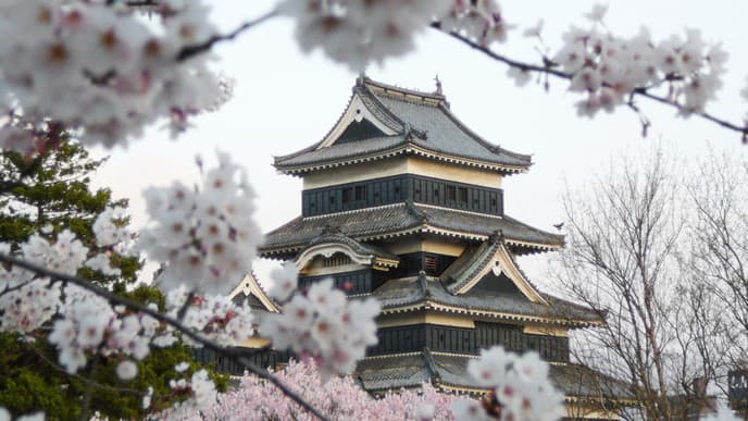 Discover the Future in Tokyo