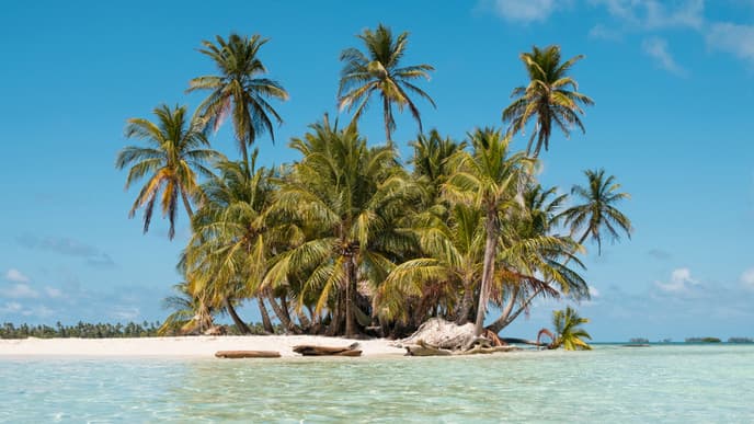Bootsausflüge auf Birdidup Island
