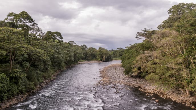 Natur pur in Sarapiqui