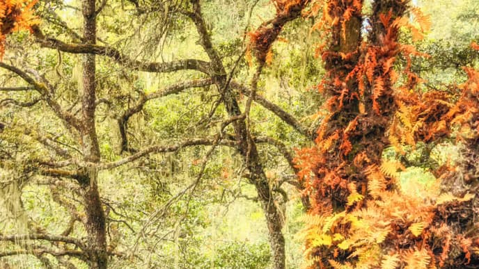 Meet the Locals in Sakteng