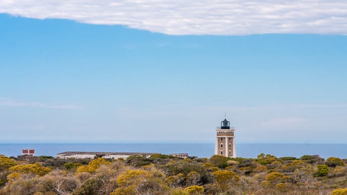 Traumhafte Sandstrände und Schildkröten