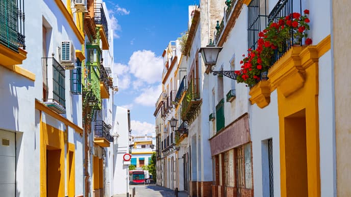 Flamenco and tapas night