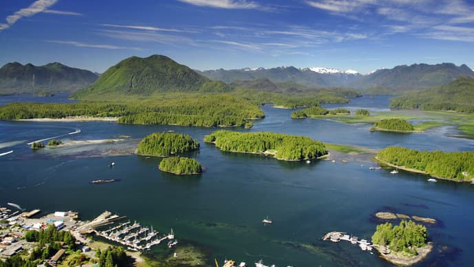 Immerse Yourself in Nature