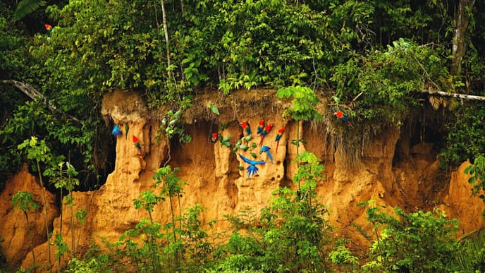 A deep rainforest river journey