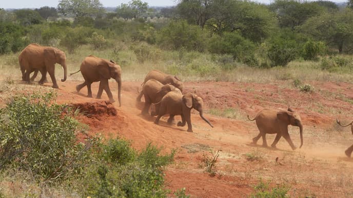 Discover wonderful wildlife