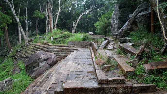 Ritigala Forest Monastery and Dambulla Temple