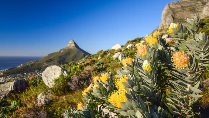 The road to Cape Town