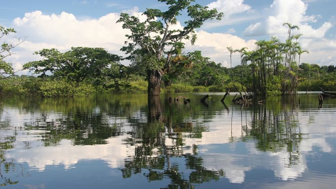 Meet the local Indigenous community
