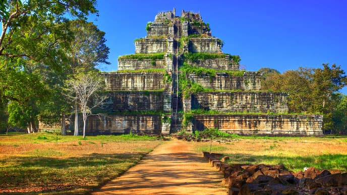 Off the Beaten Path to Be Treed Resort